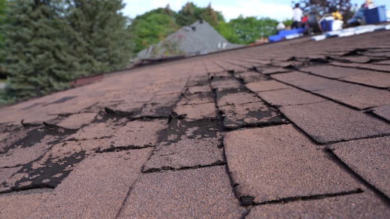 Hot Roofs in Lake Of The Woods, AZ